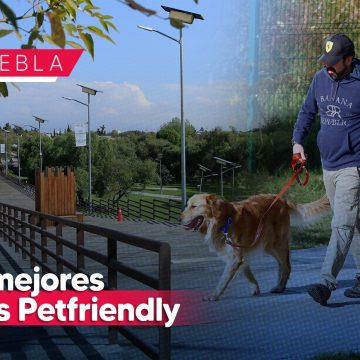 Los 10 mejores parques pet friendly en Puebla