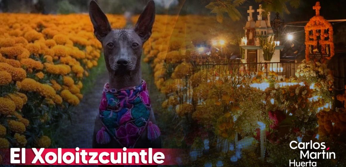 El Xoloitzcuintle y su relación con el Día de Muertos