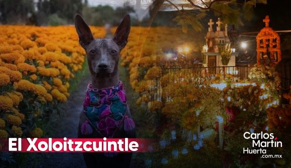 El Xoloitzcuintle y su relación con el Día de Muertos