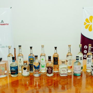 Mezcales poblanos participarán en el concurso “Mexico Selection by CMB”