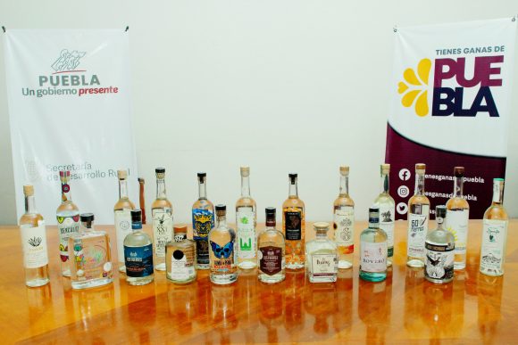 Mezcales poblanos participarán en el concurso “Mexico Selection by CMB”