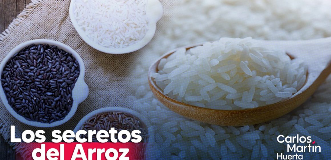 Descubre la variedad del arroz, beneficios, variedades y secretos culinarios