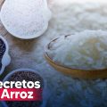 Descubre la variedad del arroz, beneficios, variedades y secretos culinarios