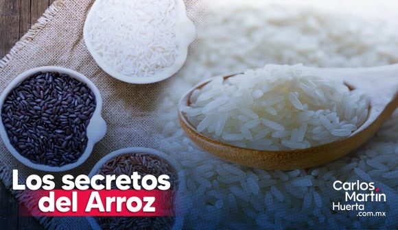 Descubre la variedad del arroz, beneficios, variedades y secretos culinarios