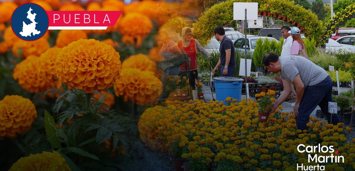 Puebla destaca como principal productor de flor de Cempasúchil