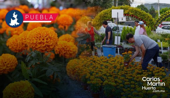 Puebla destaca como principal productor de flor de Cempasúchil
