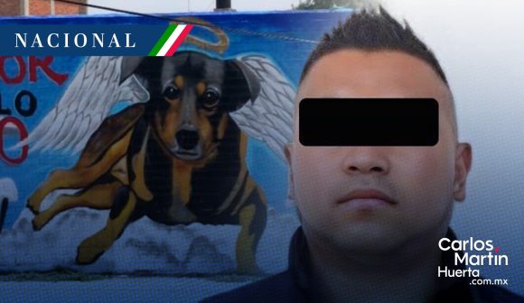 Sentencian al hombre que arrojó al perrito ‘Scooby’ en un cazo con aceite