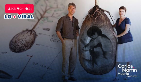 Ataúdes ecológicos convierten a tu ser querido en árbol