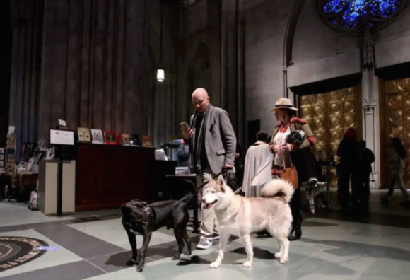 Mascotas son bendecidas en la catedral de Nueva York