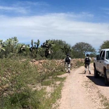 En Zacatecas, Guardia Nacional asegura tres camionetas con fusiles de asalto