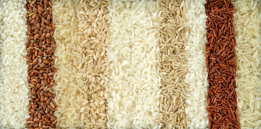 tipos de arroz