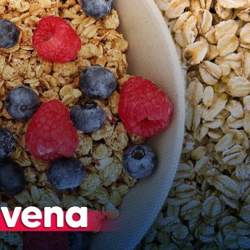 Avena: más que un desayuno, un tesoro de bondades