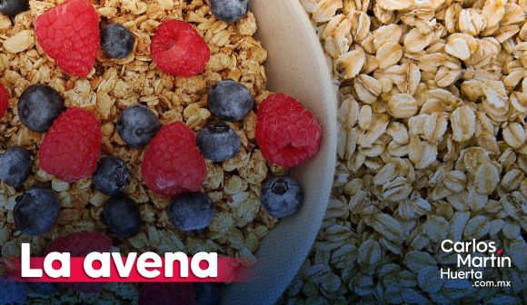 Avena: más que un desayuno, un tesoro de bondades