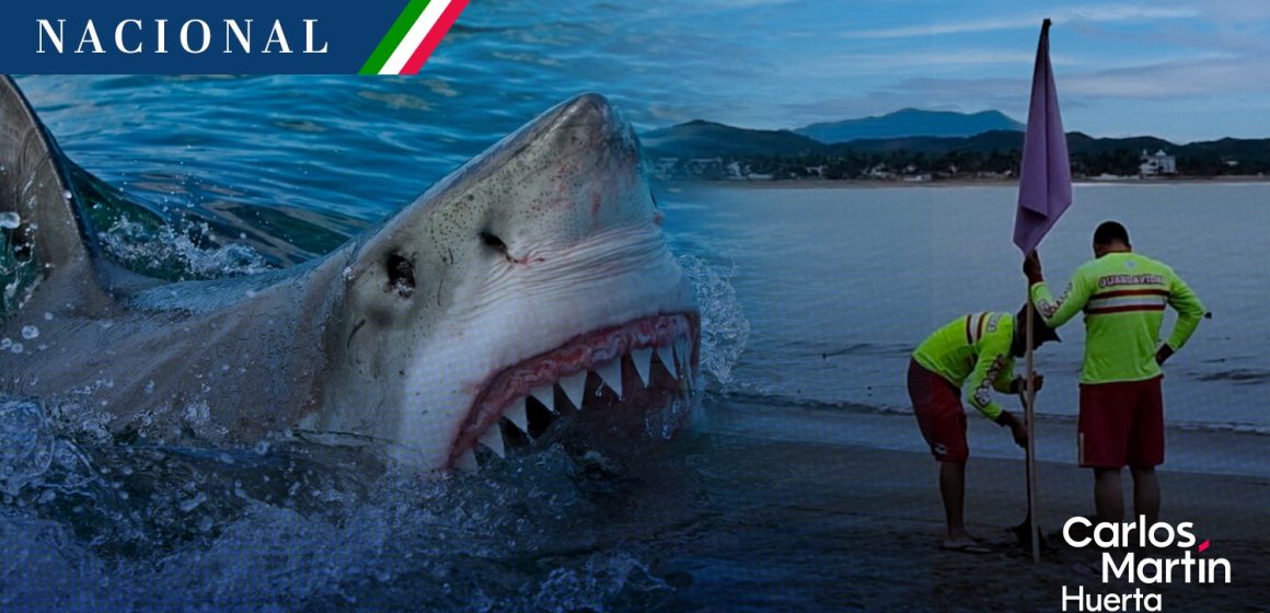 Tiburón mata a turista canadiense en Zihuatanejo, Guerrero