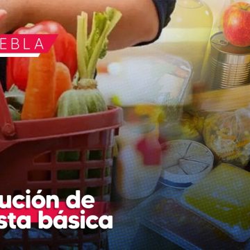 Canasta básica tuvo una disminución de 5.5% en diciembre: ANPEC