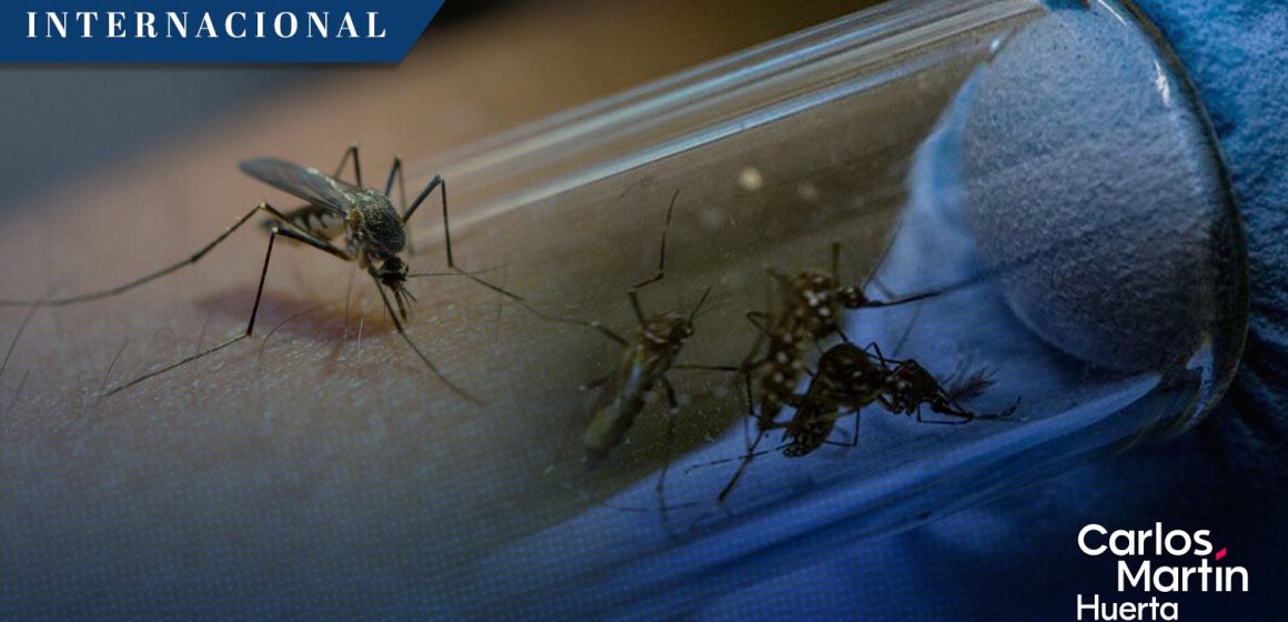 OMS eleva a alto riesgo el dengue