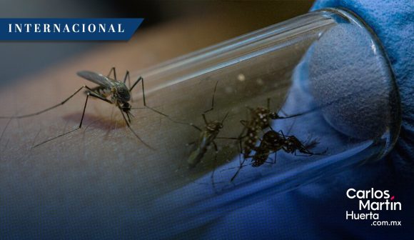 OMS eleva a alto riesgo el dengue