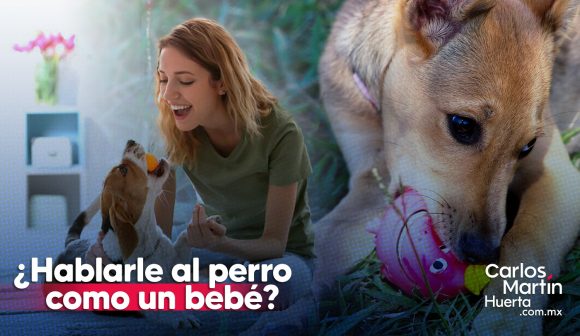 ¿A los perros les gusta que les hablemos como a un bebé?