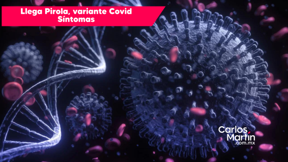 PIROLA Llega Pirola, variante de Covid, estos son sus síntomas