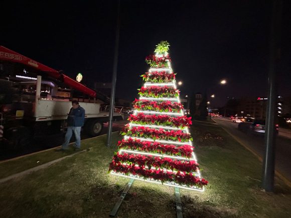  Instalan árbol hecho de nochebuenas en el bulevar Hermanos Serdán