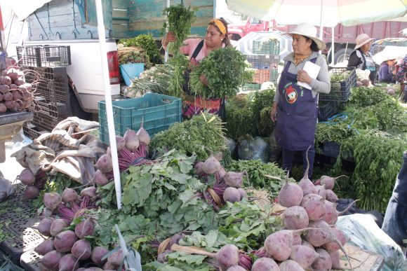 Piden mayor seguridad y obras empresarios y bodegueros de la Central de Abasto 