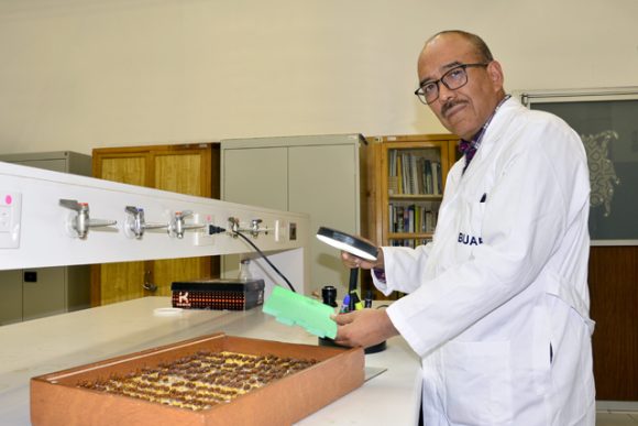 A_CsBiologicas_10 El estudio de insectos como indicadores ambientales