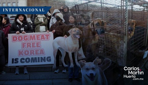 Corea del Sur prohíbe venta de carne de perro