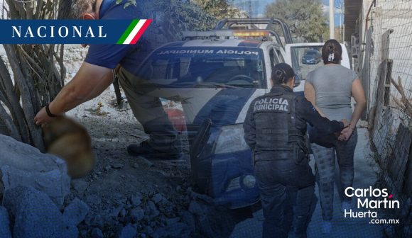 Detenida y multada - perro Querétaro Mujer es multada con 72 mil pesos por dejar morir a su perro