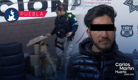 Detienen a hombre con  hongos alucinógenos en central camionera