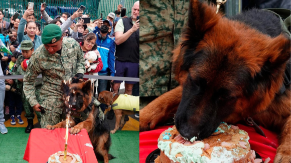 “Arkadas”, perrito donado por Turquía, cumple un año; realizan festejo