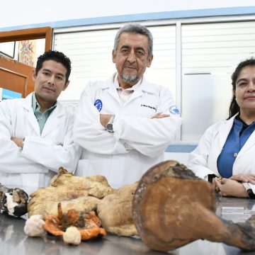 CICA-ICUAP rescata saberes ancestrales sobre hongos silvestres en La Malinche