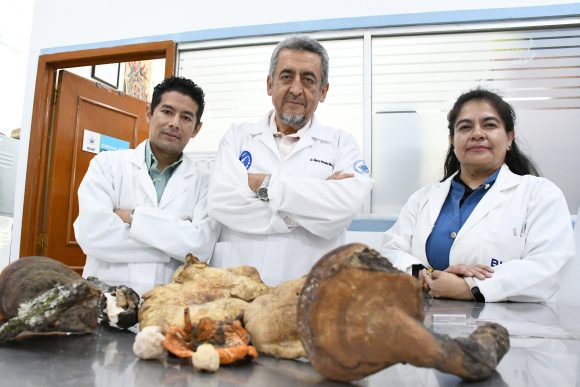 CICA-ICUAP rescata saberes ancestrales sobre hongos silvestres en La Malinche