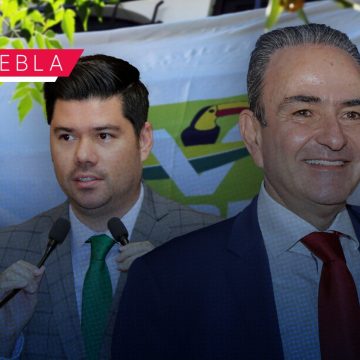 Jorge Estefan Chidiac será candidato a diputado federal por el Verde: Natale