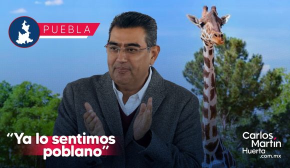 Jirafa Benito: “Lo sentimos poblano”, solo falta autorización de Profepa