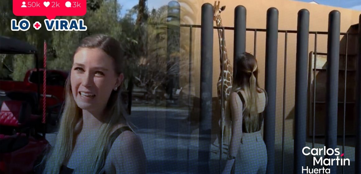 VIDEO Nirvana Hank hija de Jorge Hank Rhon presume una jirafa en su casa