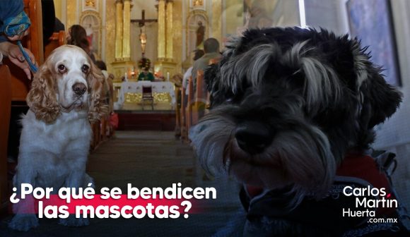 Mascotas bendecidas y corazones alegres