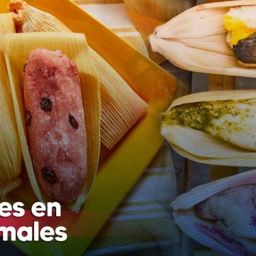 De mole, dulce o gourmet de huitlacoche, champiñones …¡Tamales para todos!