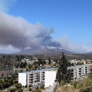 Suman 51 muertos por incendios en Chile
