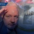 Juez declara que Julian Assange es un “hombre libre”