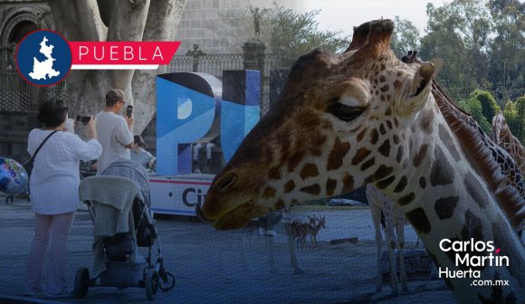 Llegada de Benito incrementará turismo en Puebla