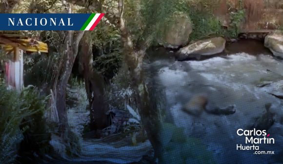 (VIDEO) Hallan tigre decapitado en Valle de Bravo