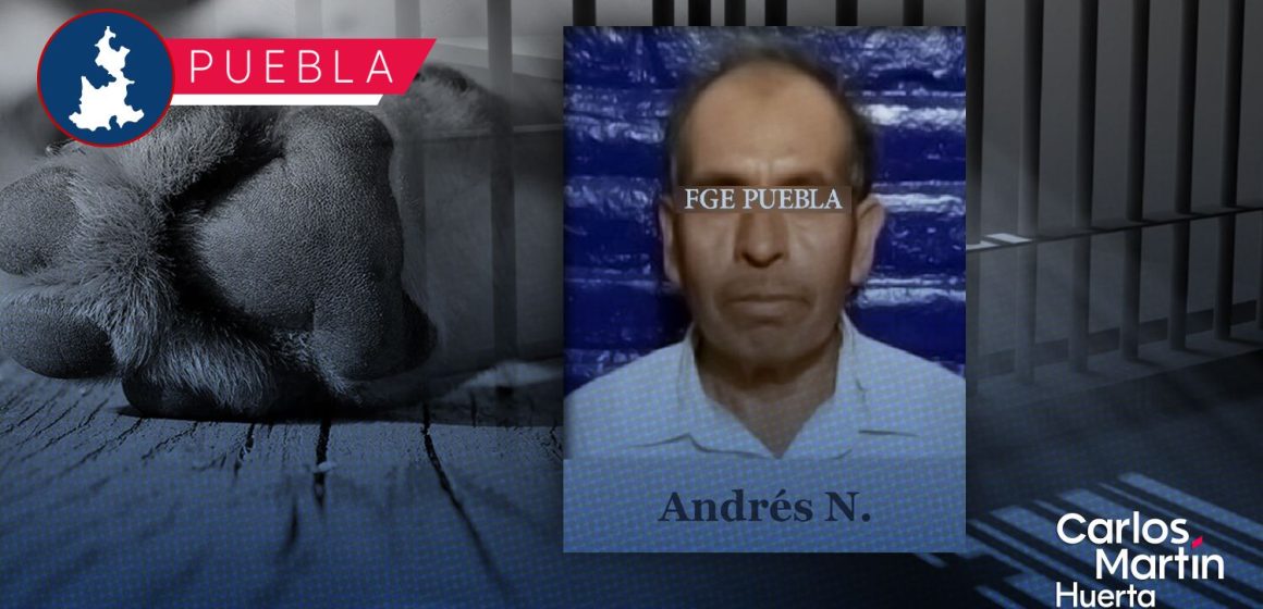 Tras matar a dos perritos en Tehuacán, sentencian a Andrés N. a 3 años de prisión