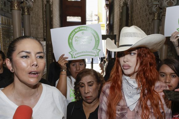 congreso-zoofilia-616081 Asociaciones buscan tipificar como delito grave la zoofilia en todo el país