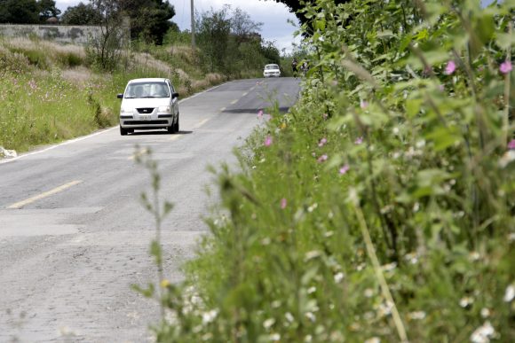 CMIC Puebla advierte del mal estado en carreteras federales que atraviesan el estado