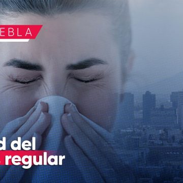 Calidad del aire en Puebla es regular; continúan casos de rinitis por ceniza