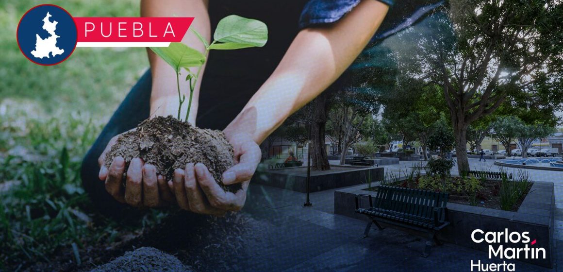 Presentan iniciativa para impulsar reforestación de áreas verdes en Puebla