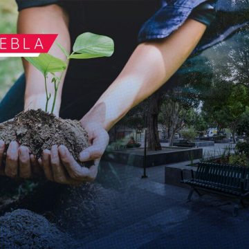 Presentan iniciativa para impulsar reforestación de áreas verdes en Puebla