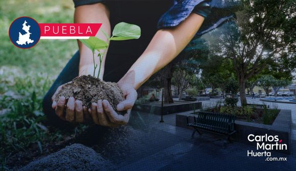 Presentan iniciativa para impulsar reforestación de áreas verdes en Puebla