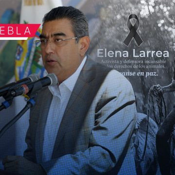 Se resguardarán caballos de Cuacolandia tras muerte de Elena Larrea: Sergio Salomón