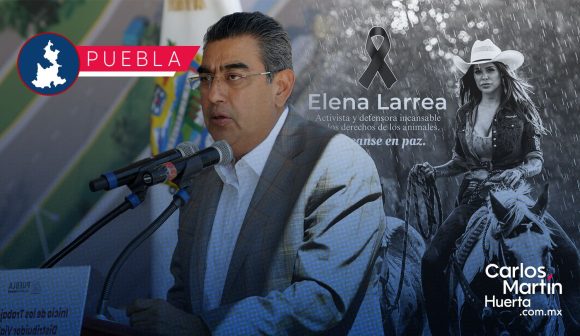 Se resguardarán caballos de Cuacolandia tras muerte de Elena Larrea: Sergio Salomón